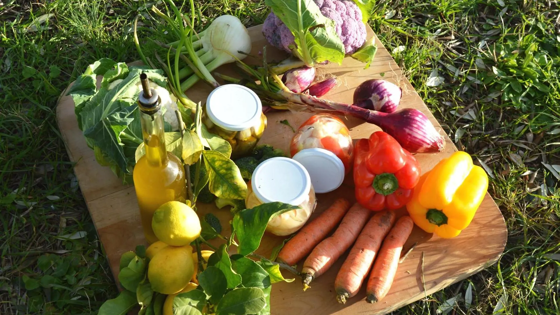Bed & Breakfast Villa Orta - Agriturismo Con Cucina Vegan, Plant-Based Farmhouse Riotorto