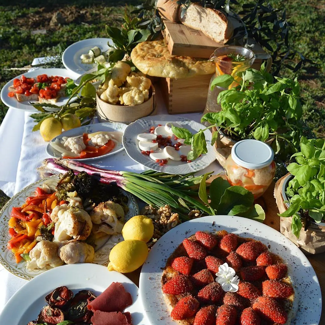 Villa Orta - Agriturismo Con Cucina Vegan, Plant-Based Farmhouse Riotorto Bed & Breakfast